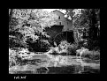 Picture Title - Falls Mill