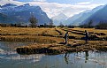 Picture Title - Farmer