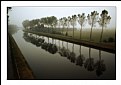Picture Title - Misty canal