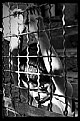 Picture Title - Mind cages