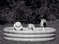 Picture Title - a little pool