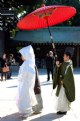 Picture Title - Japanese wedding 1
