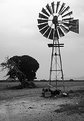 Picture Title - Langrug Windmill