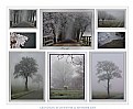 Picture Title - Mist in winter