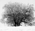 Picture Title - snow time 05