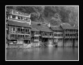 Picture Title - Fenghuang