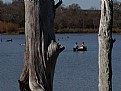 Picture Title - Bayou Boating