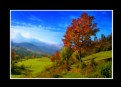 Picture Title - mother nature
