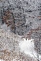 Picture Title - Coated path