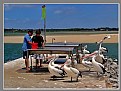 Picture Title - 'Pelican Cafe'