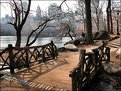 Picture Title - Central Park