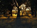 Picture Title - Central Texas Sunset