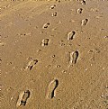 Picture Title - More foot prints