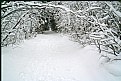 Picture Title - Snow Tunnel