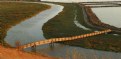 Picture Title - Over the Stream