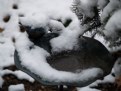Picture Title - Snow on bird bath
