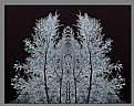 Picture Title - Digital Glow