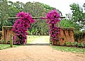 Picture Title - Entrance