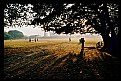 Picture Title - morning hues
