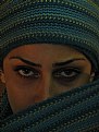 Picture Title - Persian Eyes