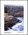 Picture Title - Near Gerstle Cove - Salt Point State Park, CA