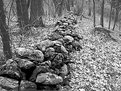 Picture Title - Rock Fence