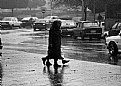 Picture Title - Under the rain