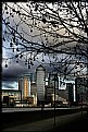 Picture Title - Canary Wharf