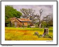 Picture Title - The Old Homestead