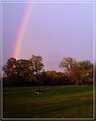 Picture Title - Rainbow II