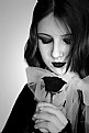 Picture Title - Black rose