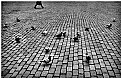 Picture Title - Pigeons and Legs