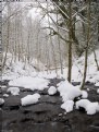 Picture Title - Fresh Snow 5