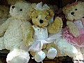 Picture Title - Ballerina Teddy