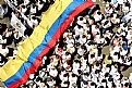 Picture Title - NO MAS FARC