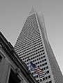 Picture Title - Transamerica