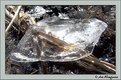 Picture Title - Only small piece of ice...