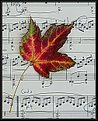 Picture Title - Autumn Serenade