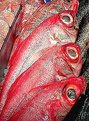 Picture Title - Red Fish