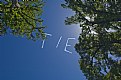 Picture Title - Tie In The Air