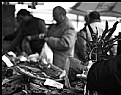 Picture Title - urbano 10- market