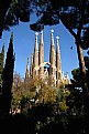 Picture Title - Sagrada Familia -2-