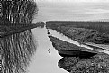 Picture Title - canale nella palude