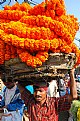 Picture Title - Flower carrier