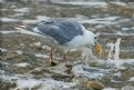 Picture Title - Washing Up