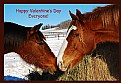 Picture Title - Hay, It's Valentine's Day