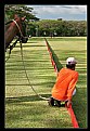 Picture Title - after this chukker