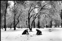 Picture Title - game in the snow