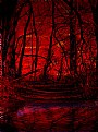 Picture Title - Red Forest