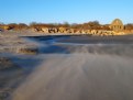 Picture Title - Wind Whipped Shore